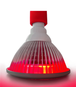 Large bulb with red light
