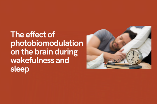 study effect wakefulness sleep