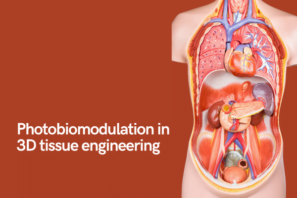 study photobiomodulation tissue