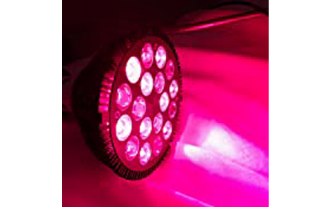 wolezek bulb red infrared 450x300 1