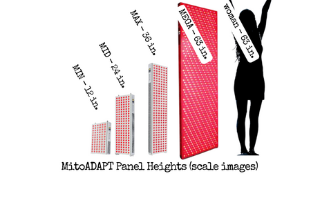 MitoADAPT includes a 12, a 24, a 36, and a 63 inch tall model
